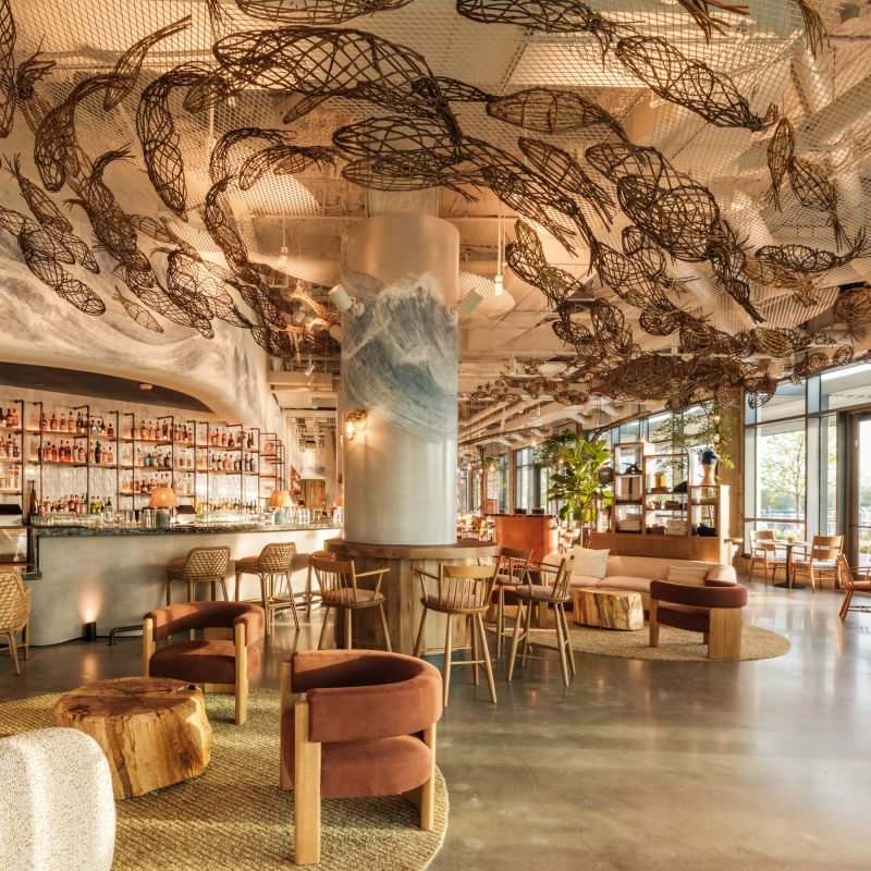 FishShopDCApr25-12435-Edit-min-800x800